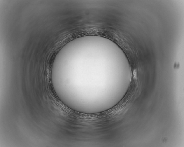 X0000092211203200709140855