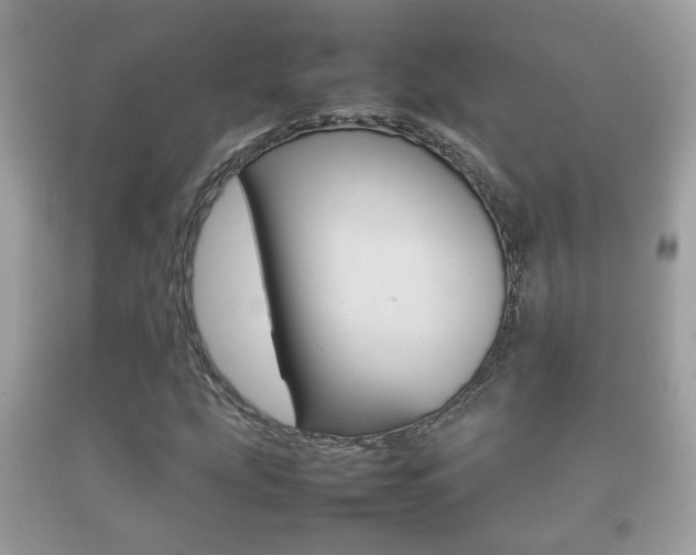 X0000092211207200709140855