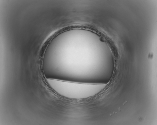 X0000092211208200709140855