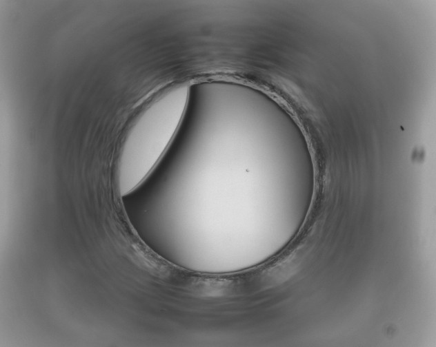 X0000092211209200709140855