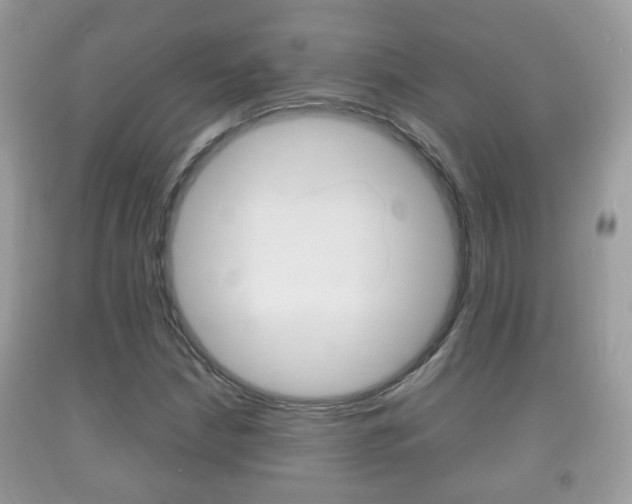 X0000092211210200709140855