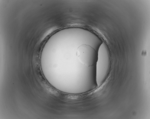 X0000092211211200709140855