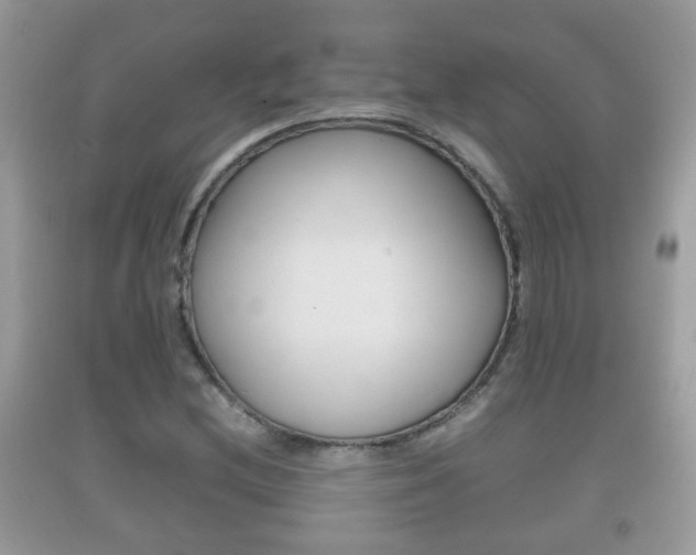 X0000092211212200709140855