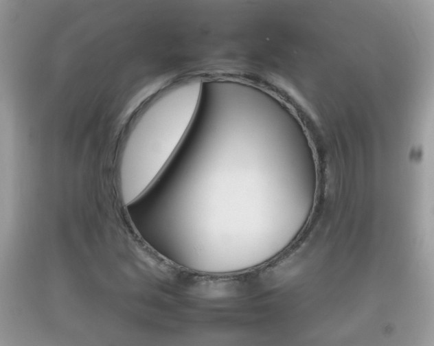 X0000092211213200709140855