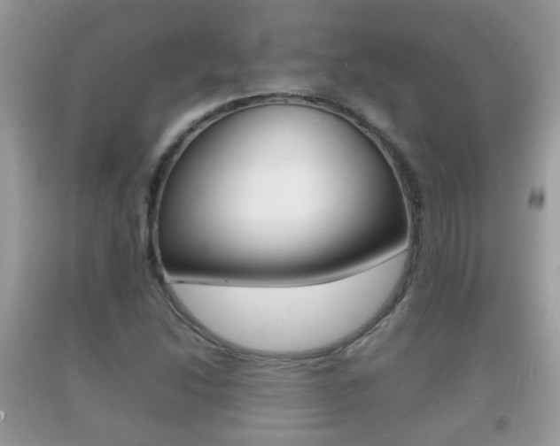 X0000092211214200709140855