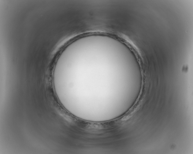 X0000092211215200709140855