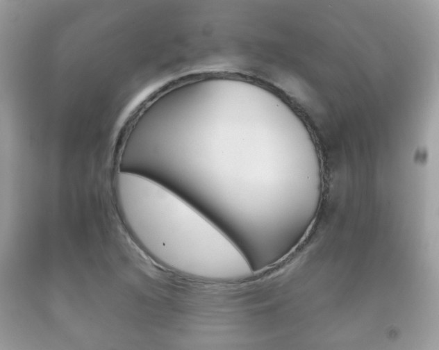 X0000092211216200709140855