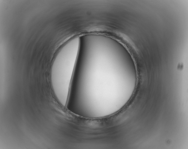 X0000092211217200709140855