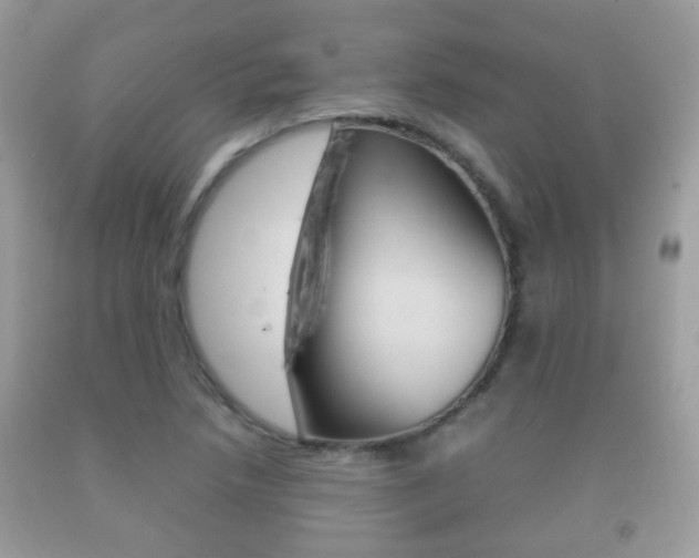 X0000092211218200709140855
