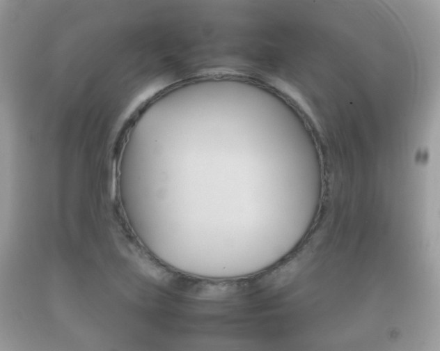 X0000092211219200709140855