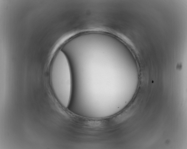 X0000092211223200709140855