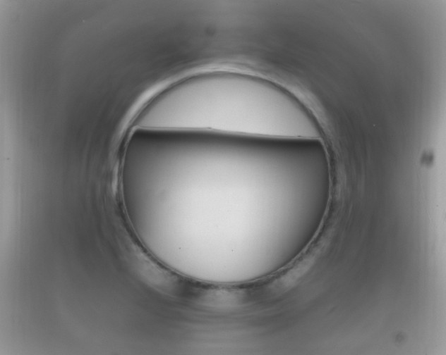X0000092211224200709140855