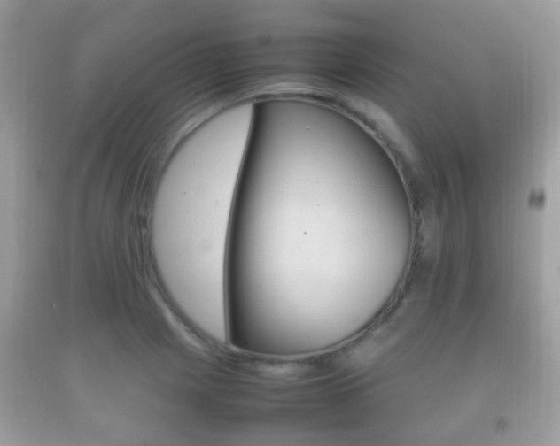 X0000092211225200709140855