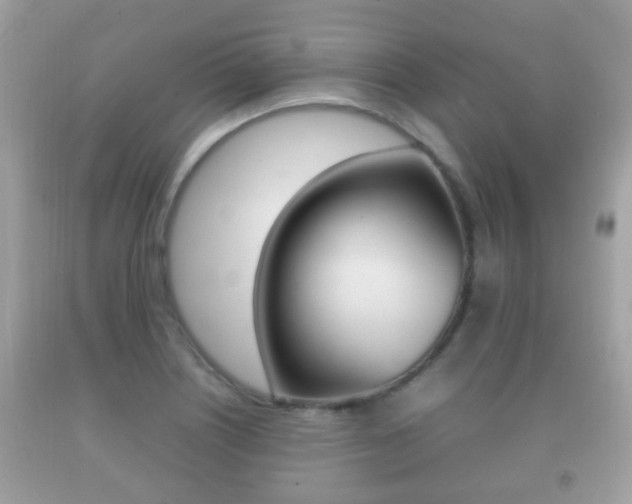 X0000092211226200709140855