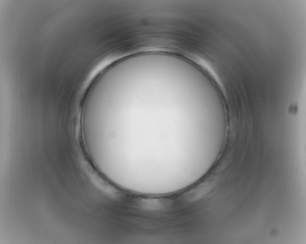 X0000092211227200709140855