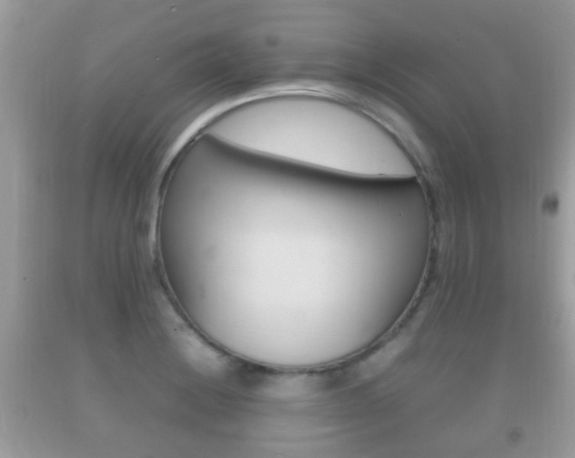 X0000092211228200709140855