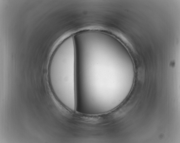 X0000092211229200709140855