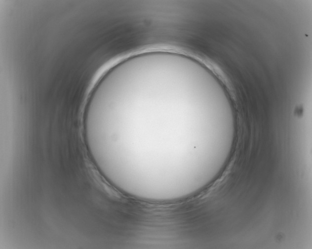 X0000092211230200709140855