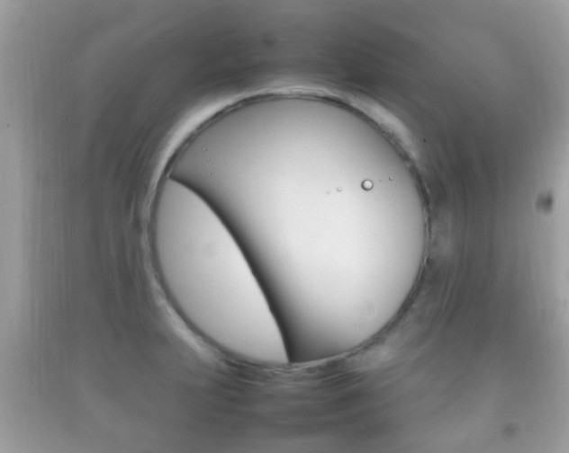 X0000092211231200709140855