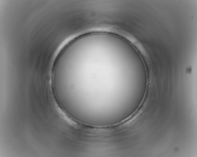 X0000092211232200709140855