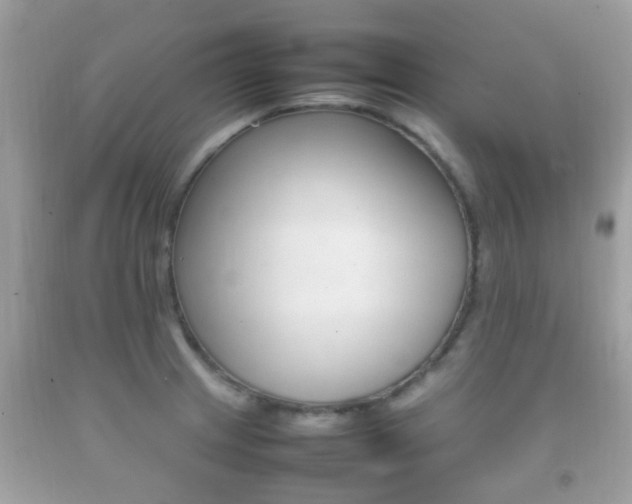 X0000092211233200709140855