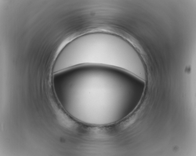 X0000092211234200709140855