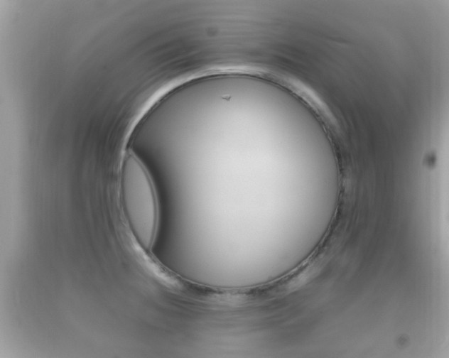 X0000092211236200709140855