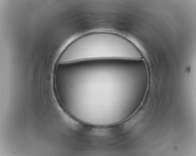 X0000092211237200709140855