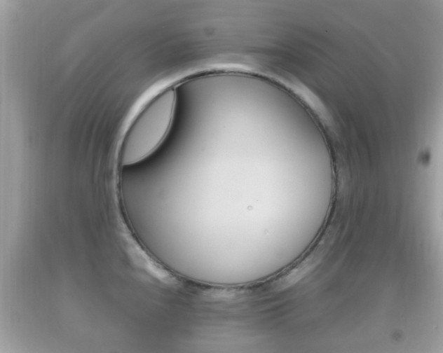 X0000092211240200709140855