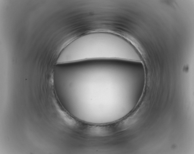 X0000092211241200709140855
