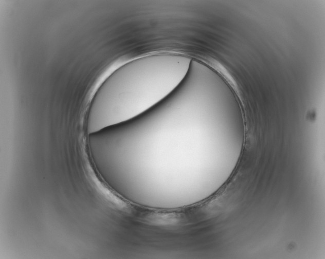 X0000092211243200709140855