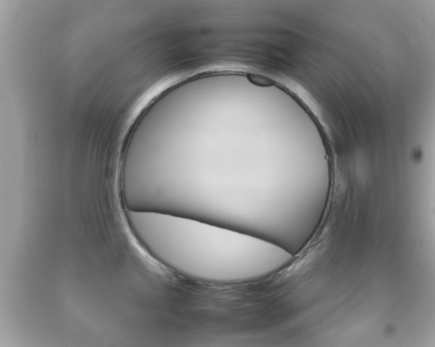 X0000092211245200709140855