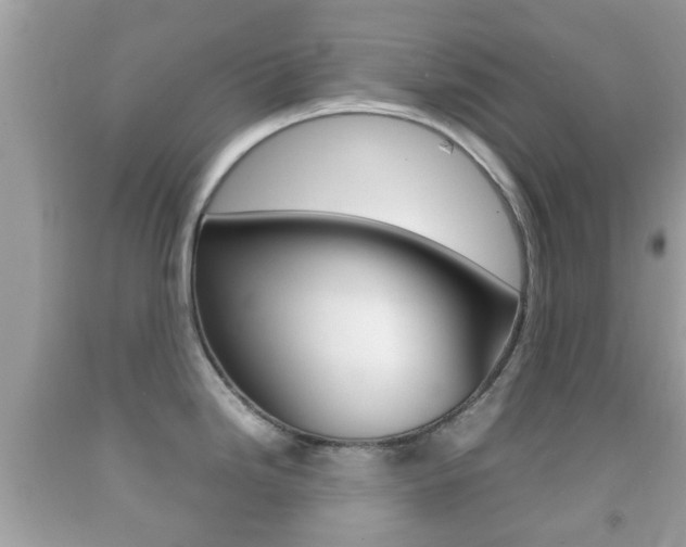X0000092211246200709140855