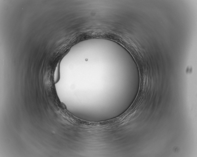 X0000092211250200709140855