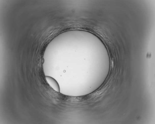 X0000092211251200709140855