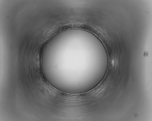 X0000092211252200709140855