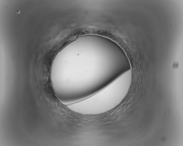 X0000092211253200709140855