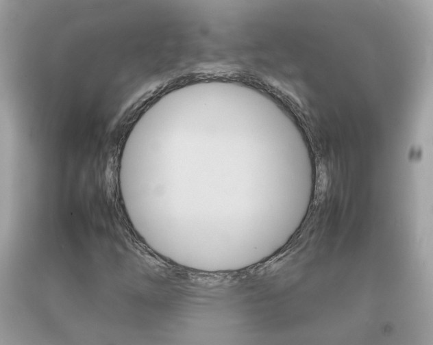 X0000092211254200709140855