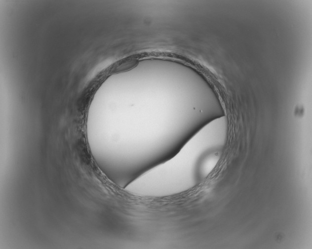X0000092211255200709140855