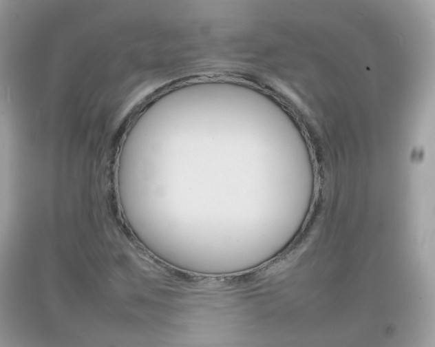 X0000092211259200709140855