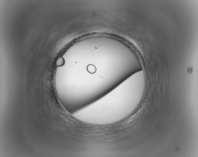 X0000092211263200709140855