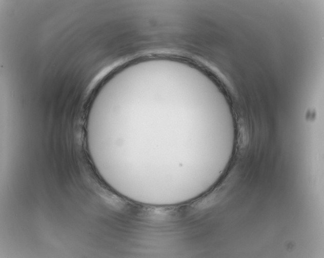 X0000092211266200709140855