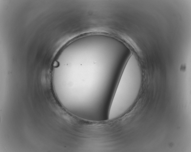 X0000092211268200709140855