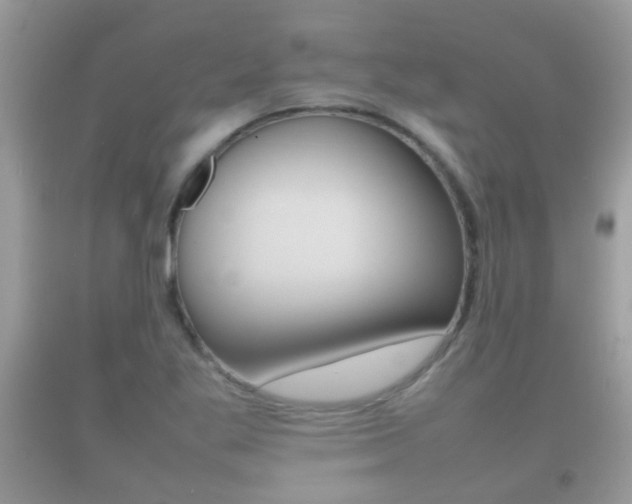 X0000092211269200709140855