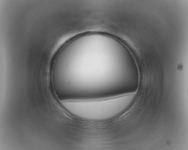 X0000092211270200709140855