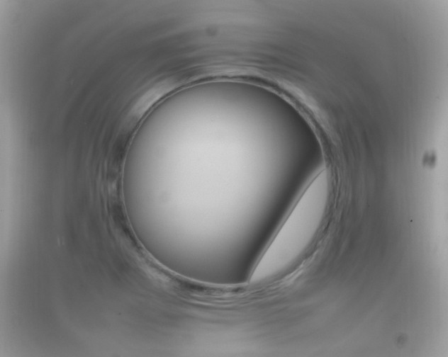 X0000092211273200709140855