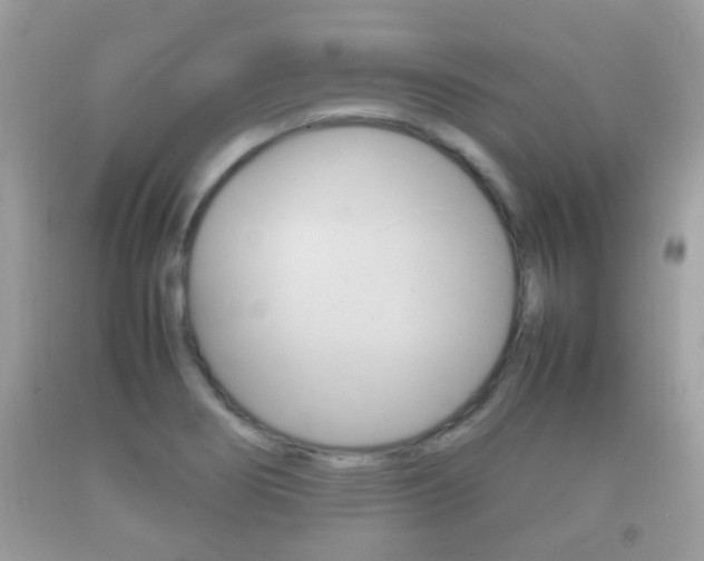 X0000092211274200709140854