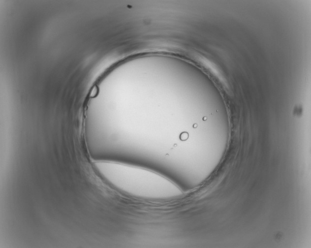 X0000092211275200709140854