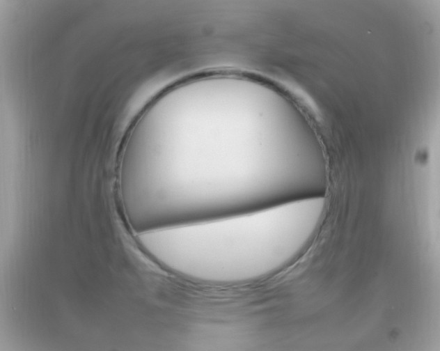 X0000092211279200709140854