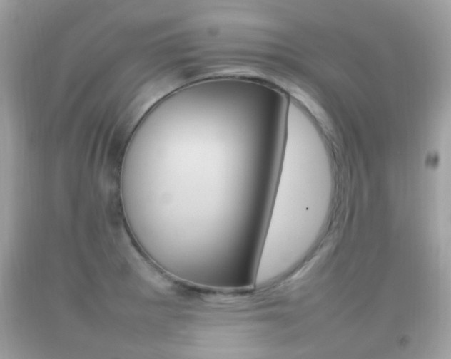 X0000092211281200709140854